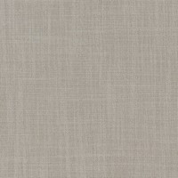 316773 Fawn
