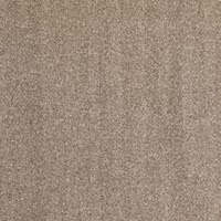 861222 Traditional Camel